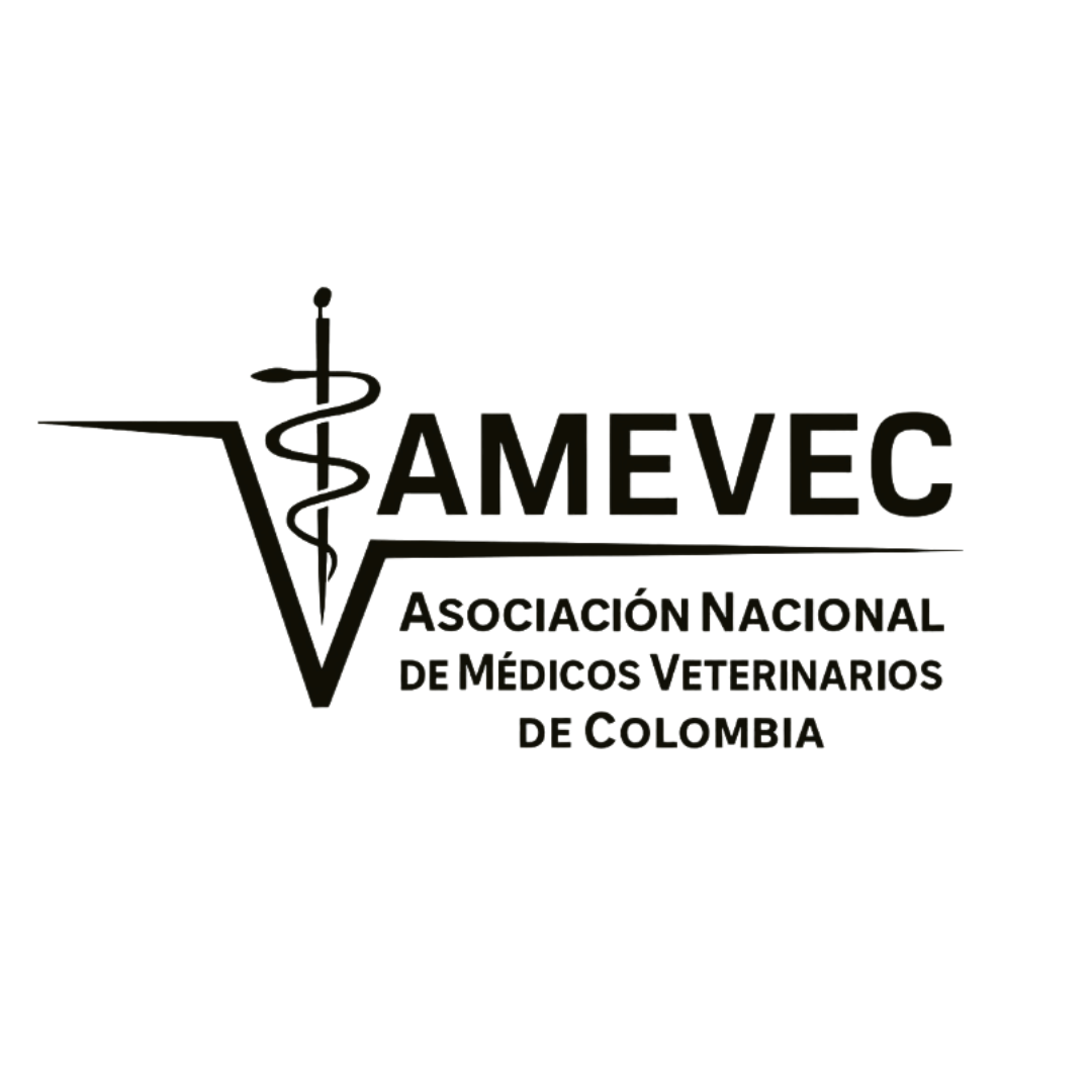 Cliente de vibra tu marca 9